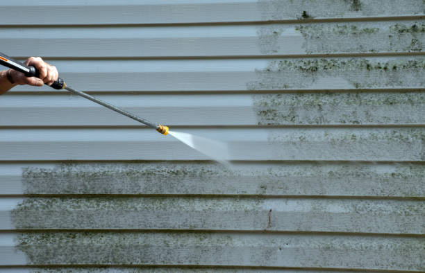 Best Solar Panel Cleaning  in Merrimac, VA