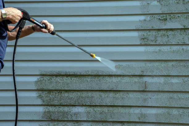 Best Sidewalk and Walkway Cleaning  in Merrimac, VA